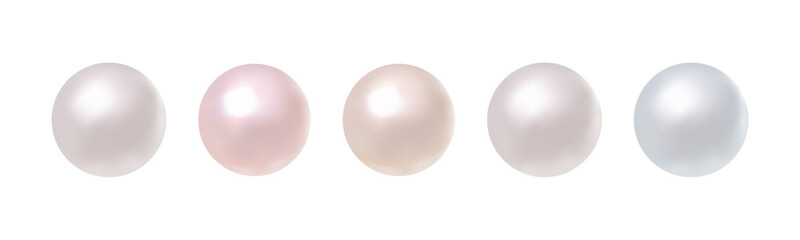 Vector image of five realistic pearls in soft white, pink, cream, and blue tones on a white background, perfect for elegant, cosmetic, or wedding-themed designs