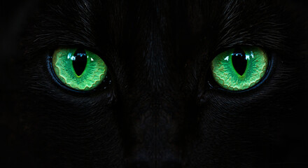 Black cat's vivid green eyes peering in darkness  
