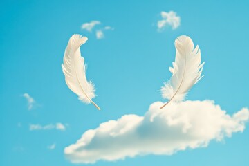 Two white feathers are flying in the sky above a blue cloud. Concept of freedom and lightness, as the feathers seem to be soaring effortlessly through the air