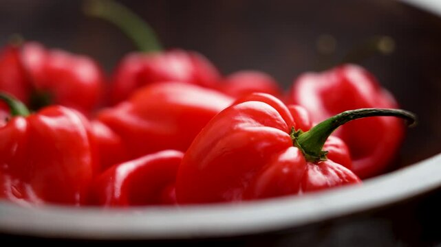 Capsicum chinense chili pepper or red habanero in wooden bowl. Macro. Rotation