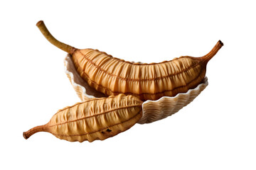 Obraz premium Close-up Studio Shot of Two Tamarind Pods Resting in a Decorative Seashell on a White Surface, Showcasing the Unique Texture and Warm Tones of the Tropical Fruit