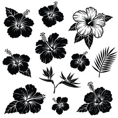 Hawaii tropical hibiscus flowers set, black stencil silhouette tattoo. Vector set of monochrome Hawaiian and Polynesian vegetation blooms, floral decal elements of culture, beauty and nature © mrvect02