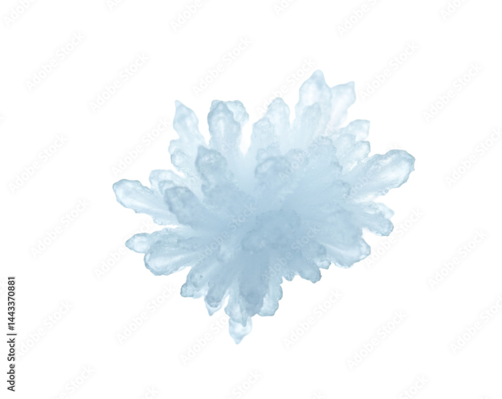Poster delicate ice crystal formation showcasing intricate details and complex structural patterns against 