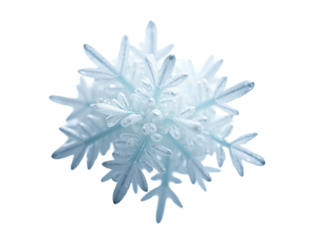 Delicate Ice Crystal Formation, A Macro View of Intricately Shaped Ice with Subtle Blue Tones Emphasizing Frozen Winter Beauty and Natural Geometric Perfection