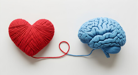 Connected Red Heart with Blue Brain Concept on White Background Showing Balance Between Logic and Emotion