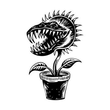A vintage style illustration of venus flytrap