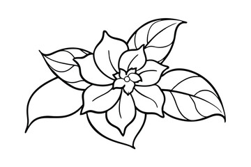 Jasmine Dreams A Journey Through Fragrance and Peace