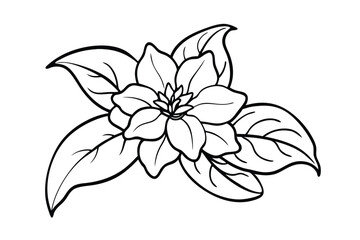 Jasmine Dreams A Journey Through Fragrance and Peace