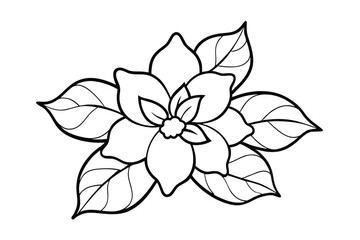 Jasmine Dreams A Journey Through Fragrance and Peace