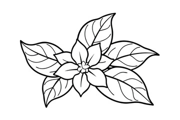 Jasmine Dreams A Journey Through Fragrance and Peace