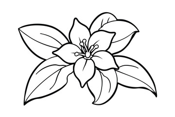 Jasmine Dreams A Journey Through Fragrance and Peace