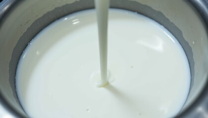 Fresh milk being poured into a stainless steel container.