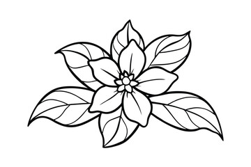 Jasmine Dreams A Journey Through Fragrance and Peace