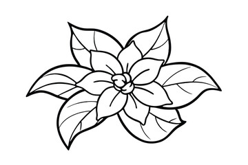 Jasmine Dreams A Journey Through Fragrance and Peace