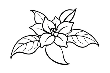 Jasmine Dreams A Journey Through Fragrance and Peace