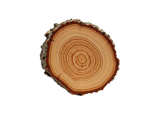 Fototapeta premium Detailed Isolated Image of a Tree Trunk Cross-Section Displaying Visible Growth Rings, Ideal for Educational or Environmental Awareness Purposes