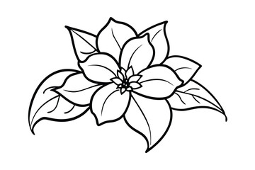 Jasmine Dreams A Journey Through Fragrance and Peace