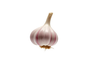 Detailed portrait of a single garlic clove showcasing its plumpness and vibrant colors, emphasizing its culinary and health benefits in a minimalist setting