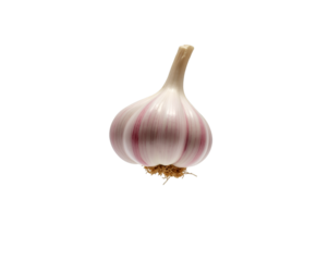 Detailed portrait of a single garlic clove showcasing its plumpness and vibrant colors, emphasizing its culinary and health benefits in a minimalist setting