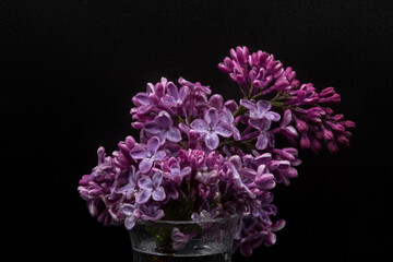 bouquet of lilac flowers