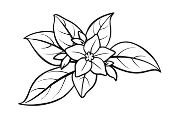 Jasmine Dreams A Journey Through Fragrance and Peace