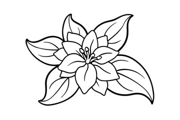 Jasmine Dreams A Journey Through Fragrance and Peace