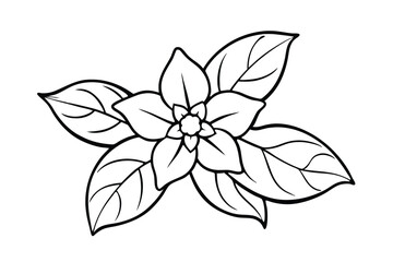 Jasmine Dreams A Journey Through Fragrance and Peace