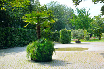 landscaped park with a garden bed and different trees and bushes on a turf lawn