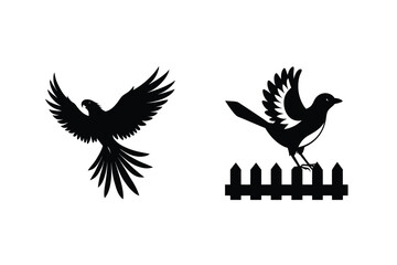 Bird Silhouette Collection Featuring Eagle In Flight And Magpie On Fence Vector