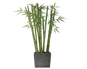 Elegant Bamboo Arrangement in a Square Pot, A Symbol of Serenity and Natural Beauty, Ideal for Minimalist Home Decor or a Zen-Inspired Space, Full Shot Image
