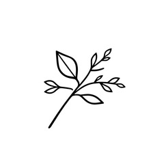 Botanical line art drawing of leaves and branch for logo design and minimalist illustration concept