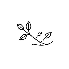 Minimalist leaf branch botanical illustration for logo design and nature themed graphic elements vector art