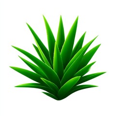 Fototapeta premium Aloe Vera Plant: A Close-Up on the Vibrant Green Spiky Leaves Against a Clean White Background