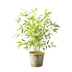 Fototapeta premium Bamboo Elegance: A Verdant Indoor Plant in a Textured Pot, Bringing Nature's Tranquility into Your Living Space