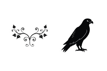 Elegant Ornamental Design With Black Hawk Illustration On White Background For Prints