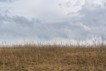 Obraz premium minimalist landscape photograph capturing dry grassy fiel under dramatic, cloudy sky. Muted colors and empty horizon evoke a peaseful, melancholic atmosphere. Spring time.
