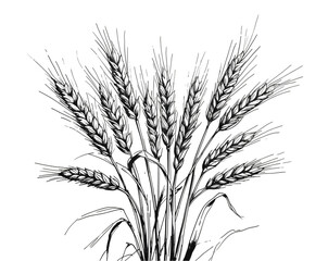 Elegant ink sketch of wheat stalks on an isolated canvas evoking artistic traditions and agricultural prosperity through minimalist design elements and monochrome artistry