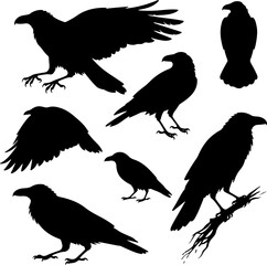 collections of crows silhouettes vector design