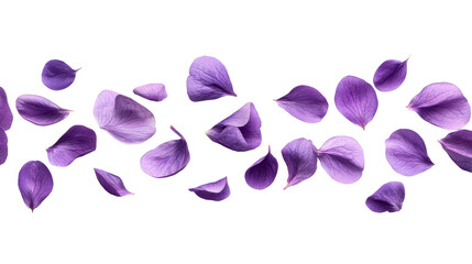 Purple flower petals drifting in the air