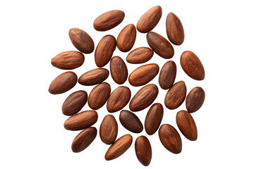 Raw Cocoa Beans Spread on White Background