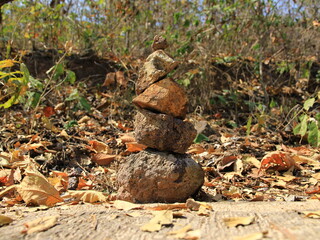 Stones arranged on the ground in a big forest, tranquility.
