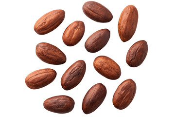 Raw Cocoa Beans Spread on White Background