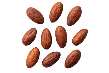 Raw Cocoa Beans Spread on White Background