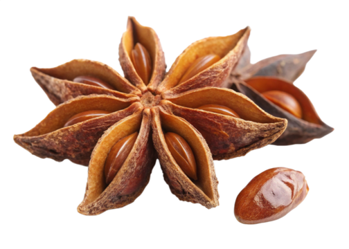 three star anise spices, one with a loose seed, isolated on white background