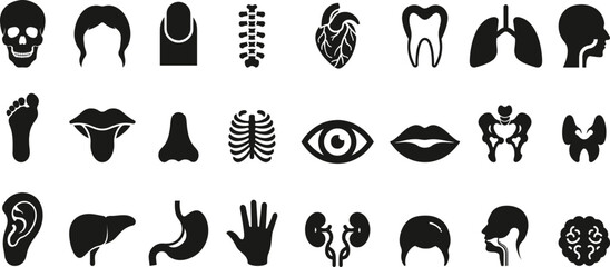 Human Anatomy Silhouette Icon Set – Flat Medical Vector Symbols of Body Parts and Organs. Perfect for Healthcare, Education, and Science Projects. Clean, Detailed, and Professional Design.