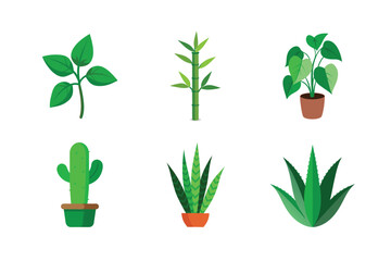 Vector illustration of diverse houseplants including aloe cactus bamboo and potted plants