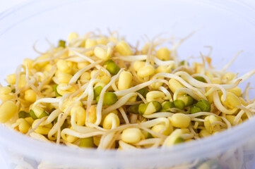 close up of sprouts on white background