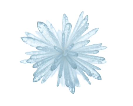Intricate Ice Crystal Formation, A Microscopic View of Nature's Artistry in a Delicate Cluster with Complex Geometric Patterns and Frozen Beauty