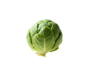 Obraz premium Isolated Brussels Sprout Exhibiting Freshness and Natural Beauty with its Tightly Packed Emerald Green Leaves Against a Minimalist Setting
