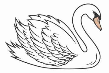 swan